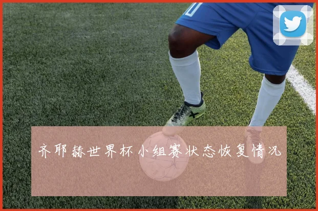 齐耶赫世界杯小组赛状态恢复情况