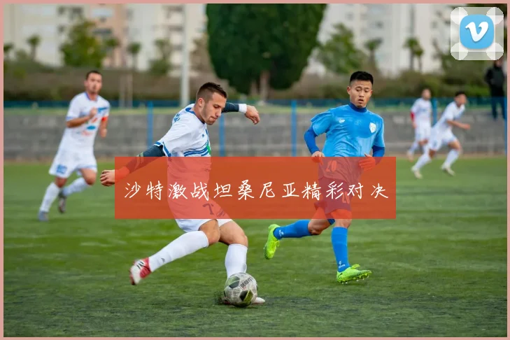 沙特激战坦桑尼亚精彩对决