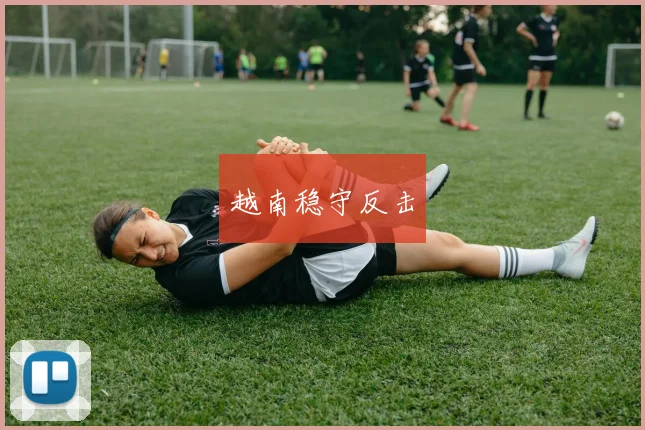 越南稳守反击
