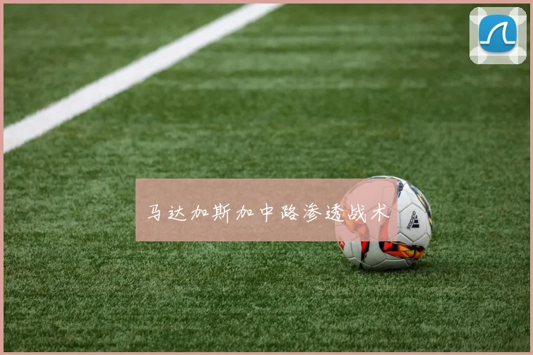 马达加斯加中路渗透战术