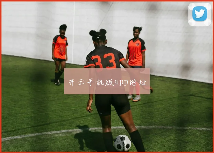 开云手机版app地址