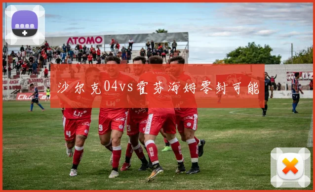 沙尔克04vs霍芬海姆零封可能