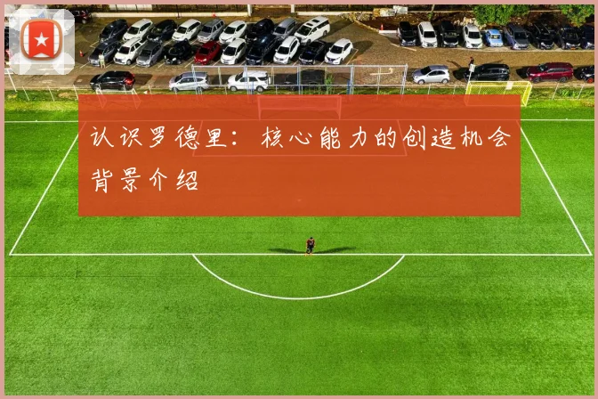认识罗德里：核心能力的创造机会背景介绍