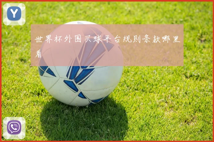 世界杯外围买球平台规则条款哪里看