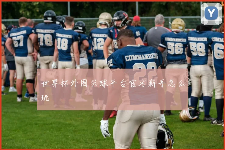 世界杯外围买球平台官方新手怎么玩