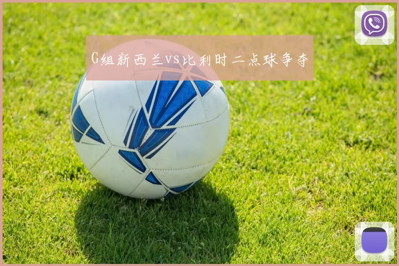 G组新西兰vs比利时二点球争夺