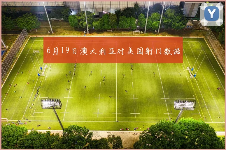 6月19日澳大利亚对美国射门数据