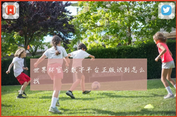 世界杯官方数字平台正版识别怎么找